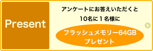 フラッシュメモリープレゼント