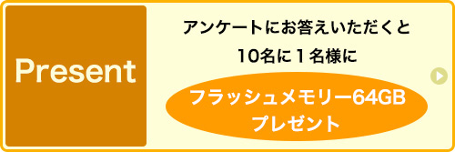 present アンケートにお答えいただくと１０名に威名様にフラッシュメモリー８Gプレゼント